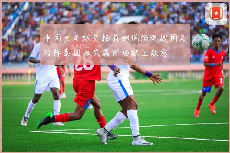中国女足球员杨莉娜现场观战国足对阵泰国为武磊百场献上敬意